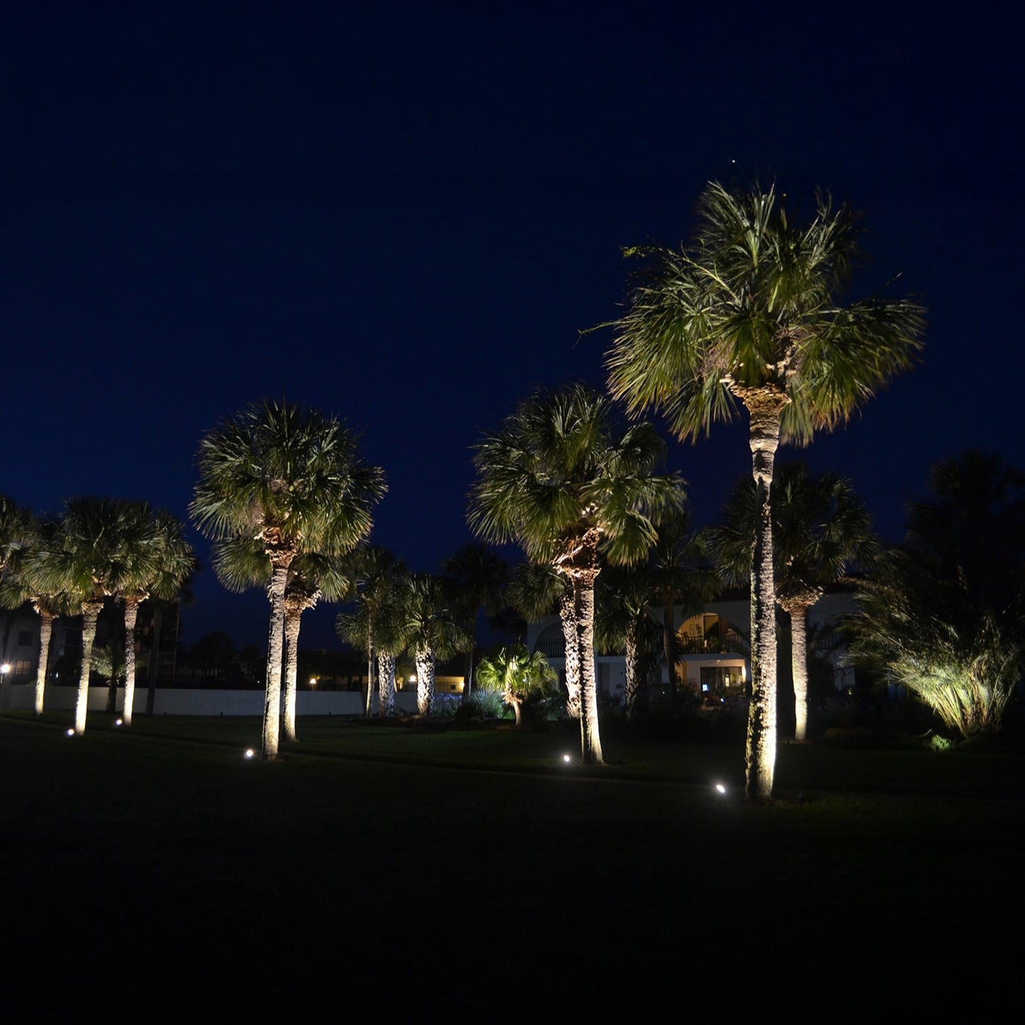 Spike Light | planting lighting