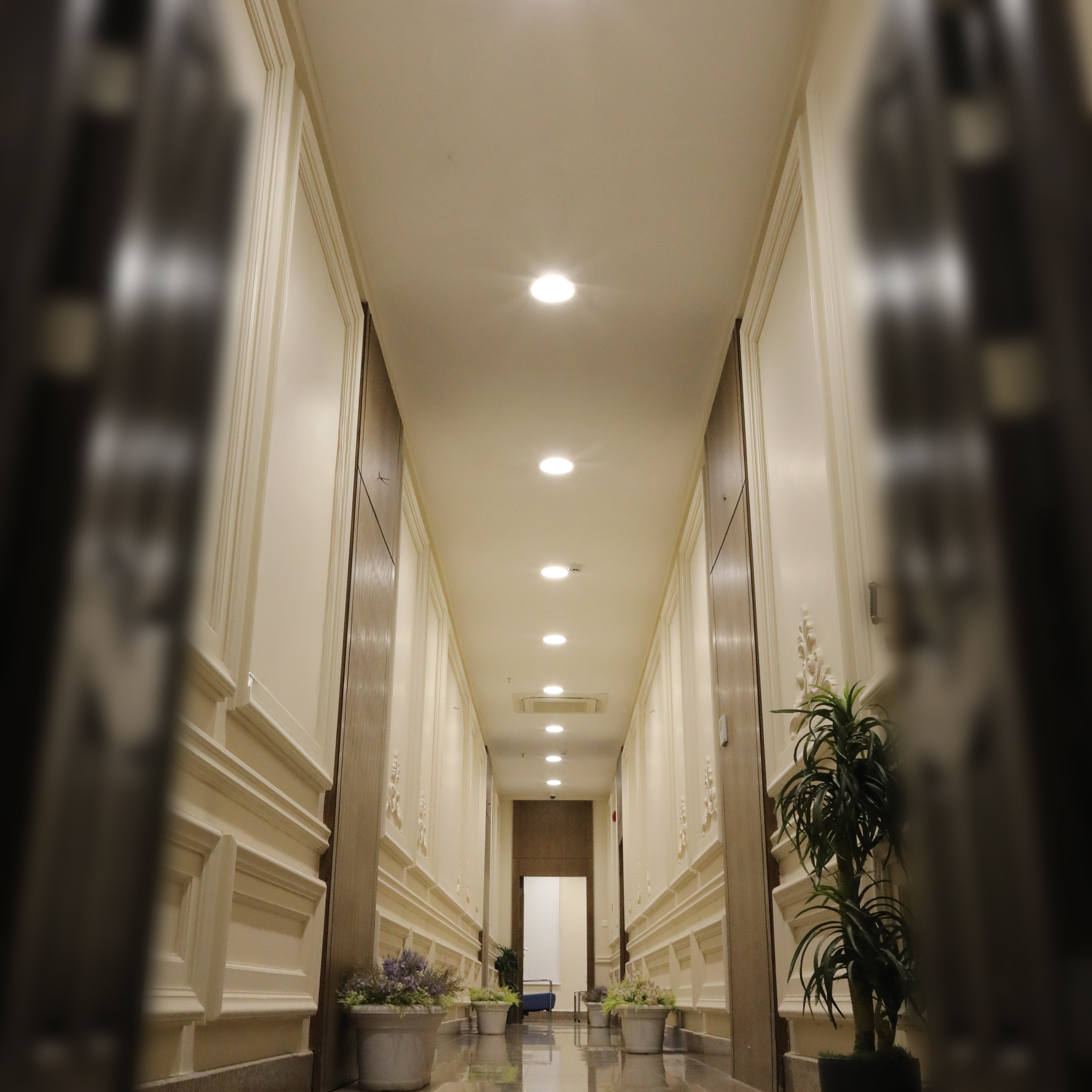 إنارة سقف بنل