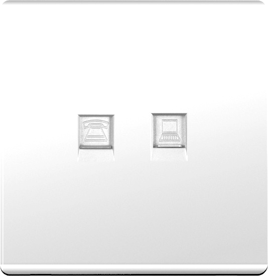 فيش كمبيوتر مع فيش تلفون